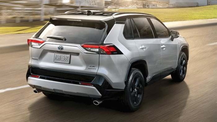 EV vs hybrid cars